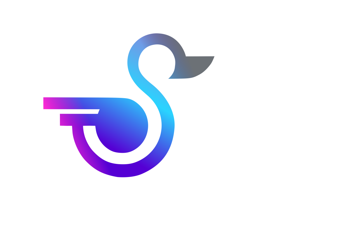 Cyber Ducks